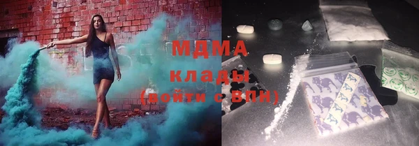 шишки Надым