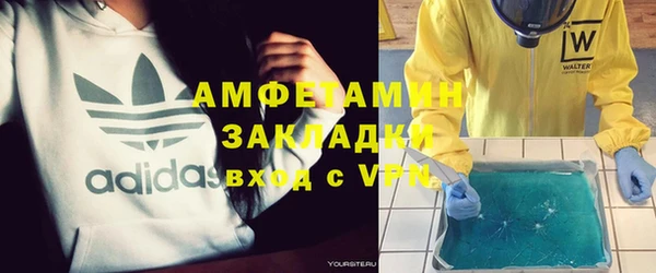 шишки Надым