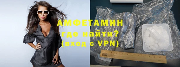 шишки Надым