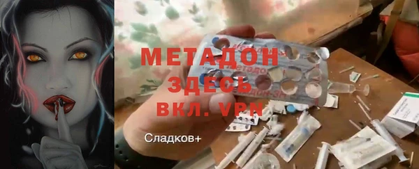 шишки Надым