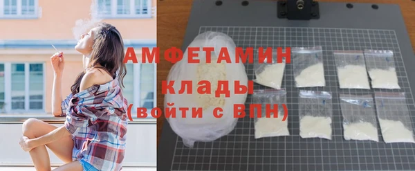 шишки Надым