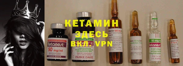 шишки Надым