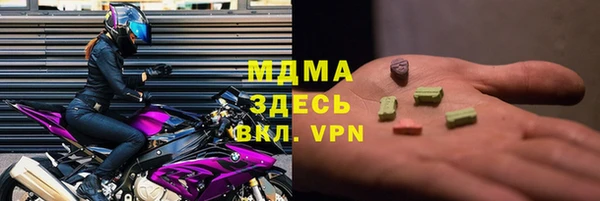 шишки Надым