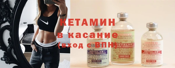 шишки Надым