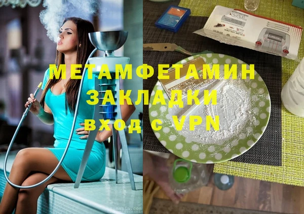 шишки Надым
