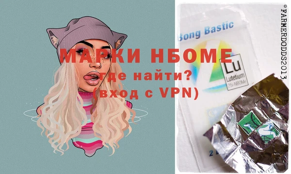 шишки Надым