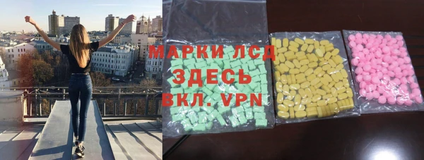 шишки Надым