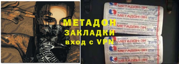 шишки Надым