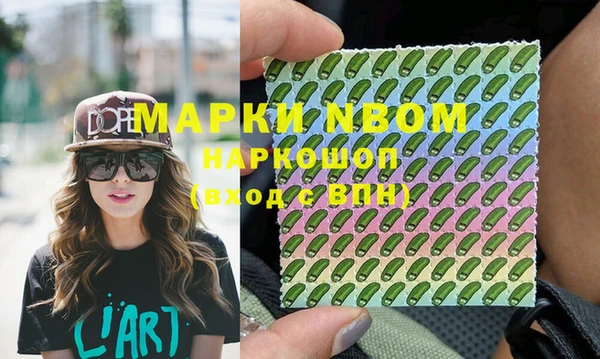 шишки Надым