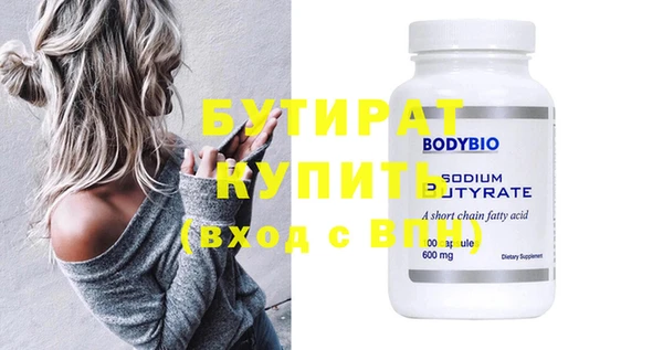 шишки Надым