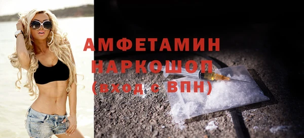 шишки Надым