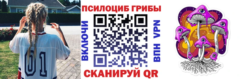 Псилоцибиновые грибы мицелий как найти закладки Тейково